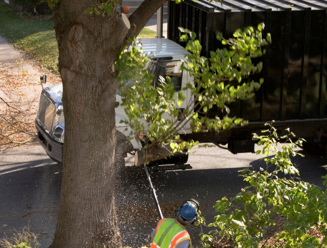 24/7 emergency tree service Regina