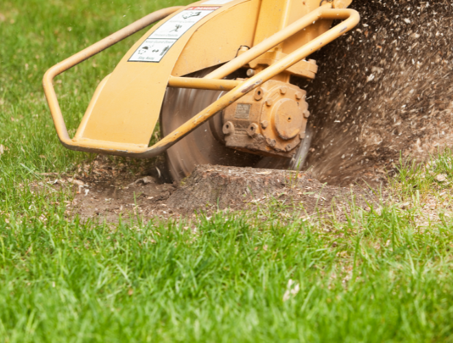 Stump grinding and removal Regina