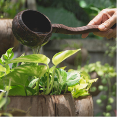 Mike and Matt's tree service team Regina